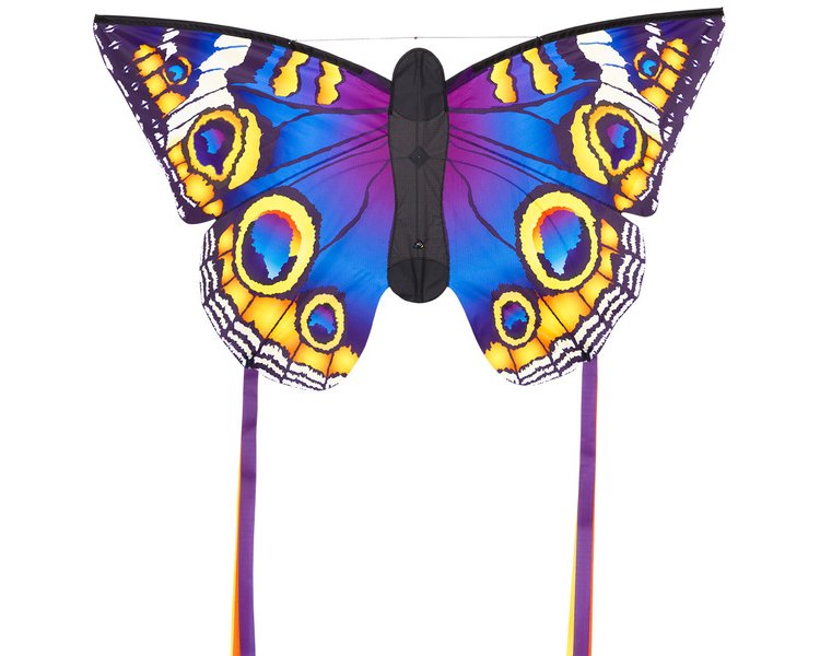 Einleiner Schmetterling Buckeye L - INVENTO 106548