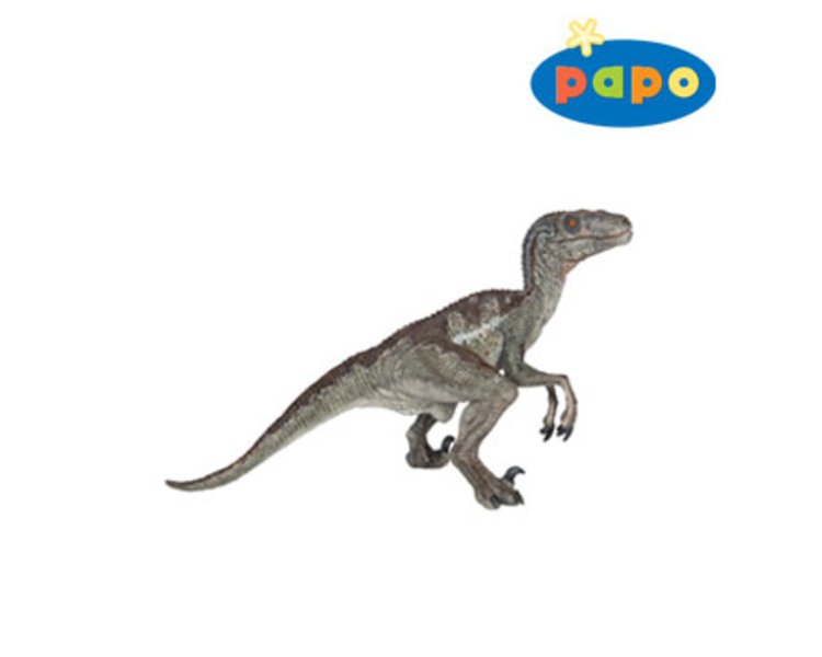 Velociraptor - PAPO 55023